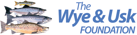 The Wye and Usk foundation logo